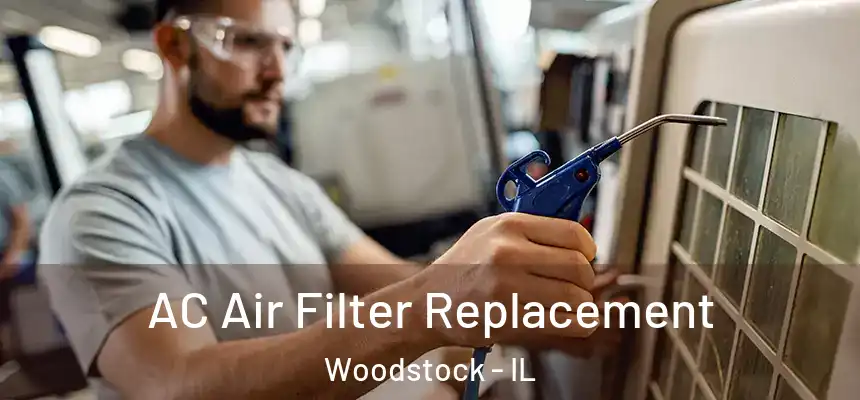  AC Air Filter Replacement Woodstock - IL