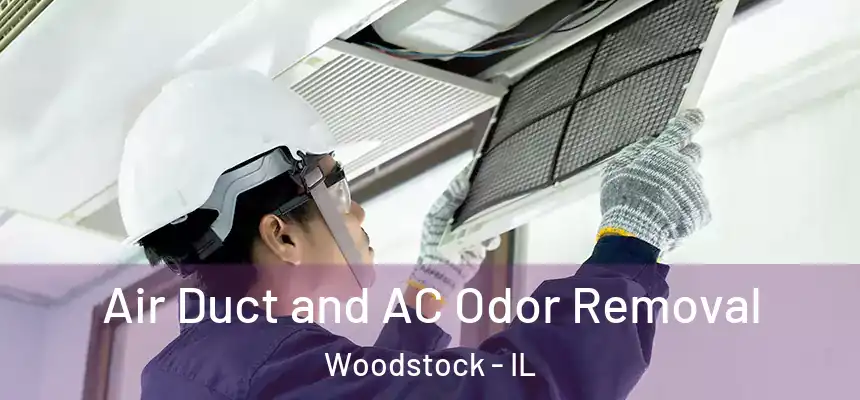  Air Duct and AC Odor Removal Woodstock - IL