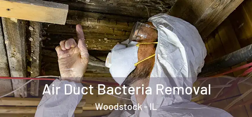 Air Duct Bacteria Removal Woodstock - IL