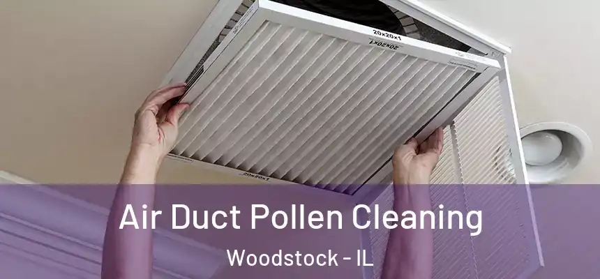 Air Duct Pollen Cleaning Woodstock - IL
