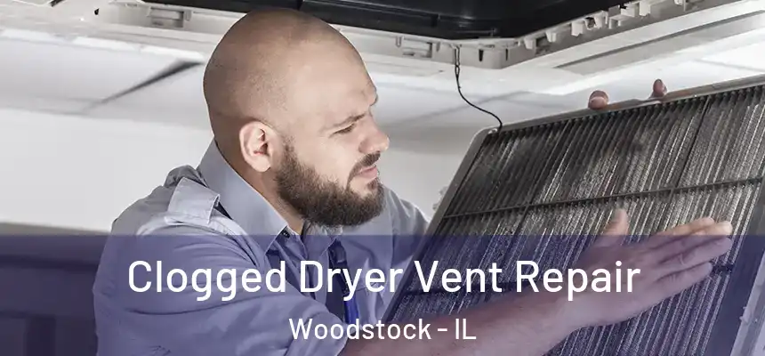  Clogged Dryer Vent Repair Woodstock - IL