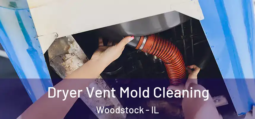  Dryer Vent Mold Cleaning Woodstock - IL