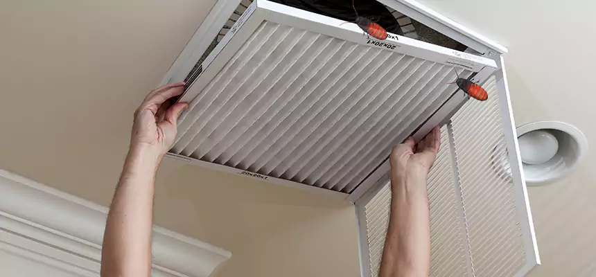 Our Insect Removal from Air Ducts Services in Woodstock, IL