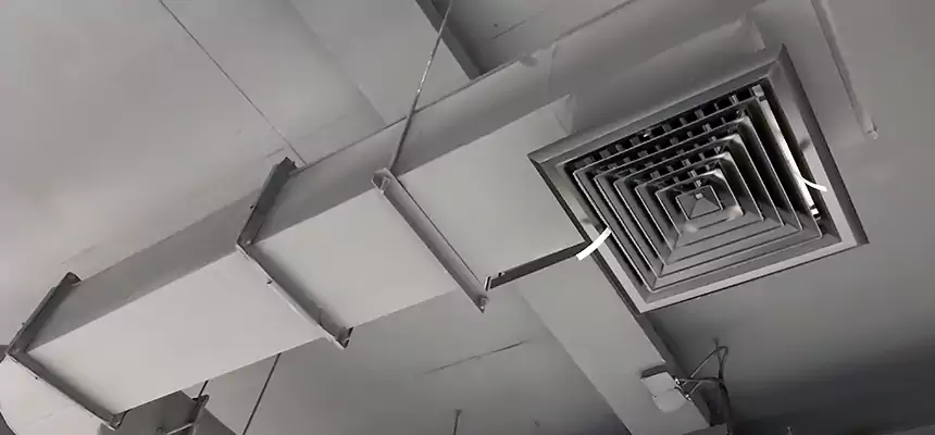 Our Pest Removal From Ducts Services in Woodstock, IL