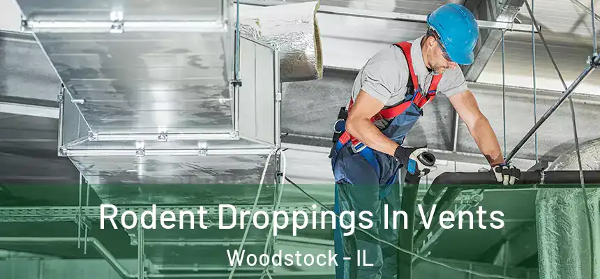  Rodent Droppings In Vents Woodstock - IL