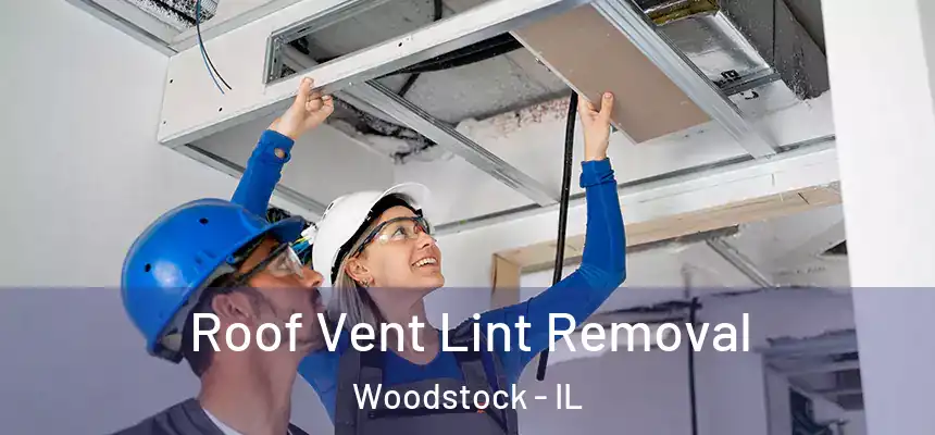  Roof Vent Lint Removal Woodstock - IL