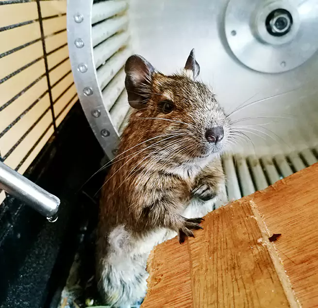 Why Homeowners & Businesses Trust Us Woodstock, IL?